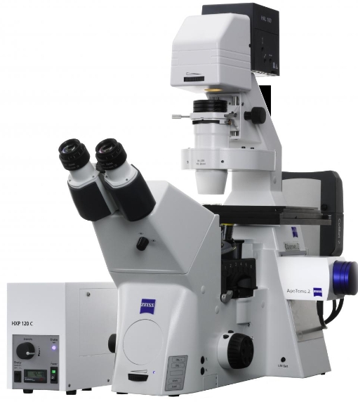 ��˾��AXIO OBSERVER Z1��ȫ�Ԅ�(d��ng)�ɹ⵹���@΢�R/�����s�ԈD